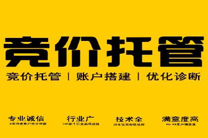某SEM外包公司广告投放策略及效果评估
